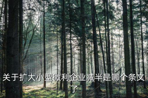 小型微利企業(yè)減半什么意思，遼寧小微企業(yè)所得稅減半征收是什么意思