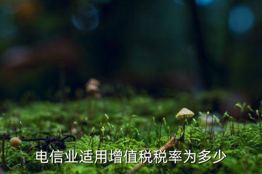 電信服務(wù)什么時候繳納增值稅，電信業(yè)適用增值稅稅率為多少