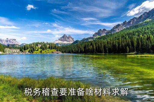 稅收調(diào)查需要什么資料，稅務(wù)檢查調(diào)閱企業(yè)會(huì)計(jì)資料需要辦理什么手續(xù)