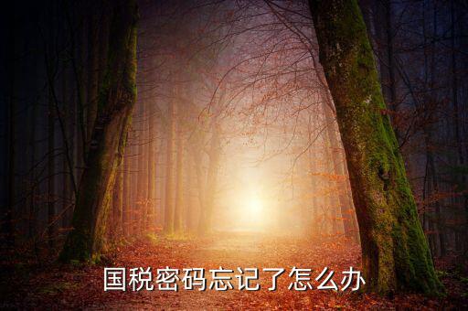 國稅局重置密碼需要帶什么資料，國稅修改過登錄密碼 又忘記了怎么辦