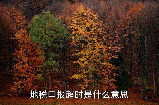 地稅申報(bào)超時(shí)是什么意思