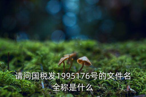 國稅初始化文件是什么字頭，稅務(wù)申報材料初始化是什么意思