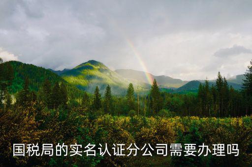 四川國稅局實名認證需要什么手續(xù)，在國稅局辦理法人實名制認證要帶什么材料
