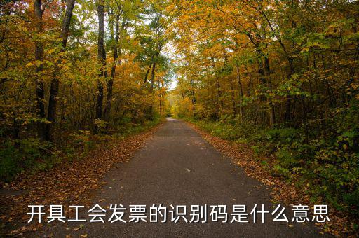 河北省發(fā)票識別碼是什么意思，開票方識別號是什么意思