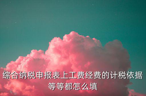 綜合納稅申報表上工費經費的計稅依據(jù)等等都怎么填