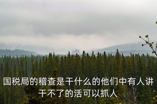 國(guó)稅局查什么的，國(guó)稅局的稽查是干什么的他們中有人講干不了的活可以抓人