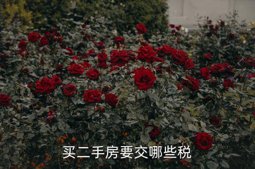 買二手公建房交什么稅，買二手房要交哪些稅