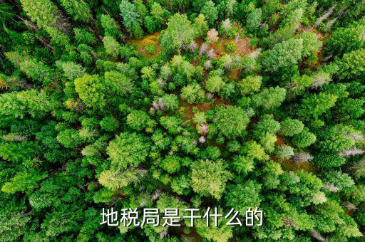 地稅主要負責什么工作總結(jié)，地稅局一般做什么工作啊