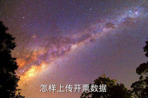 如何上傳進項發(fā)票明細，怎樣上傳開票數(shù)據(jù)
