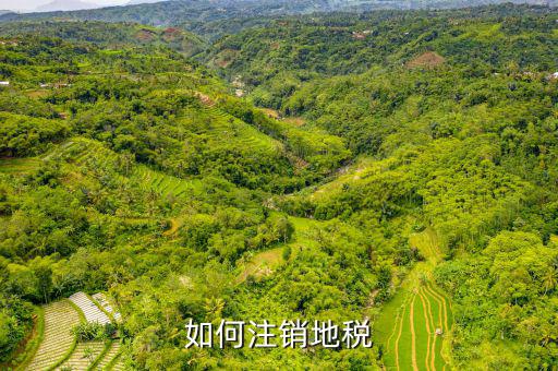 如何注銷地稅，如何注銷地稅