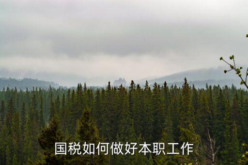 如何做好基層國稅工作，如何做好新形勢下的國稅工作