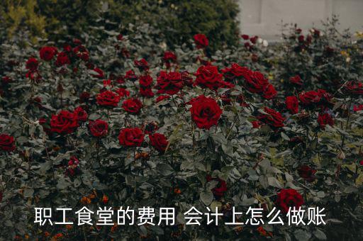 公司食堂費(fèi)用如何入賬，職工食堂費(fèi)用如何入賬