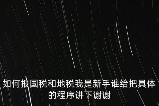 如何報(bào)國稅和地稅我是新手誰給把具體的程序講下謝謝