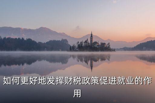 如何更好地發(fā)揮財稅政策促進就業(yè)的作用