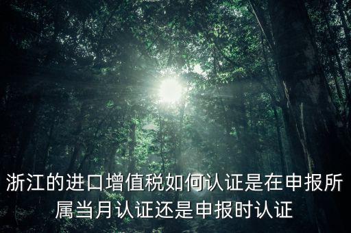 浙江國稅進口發(fā)票如何認(rèn)證，浙江的進口增值稅如何認(rèn)證是在申報所屬當(dāng)月認(rèn)證還是申報時認(rèn)證