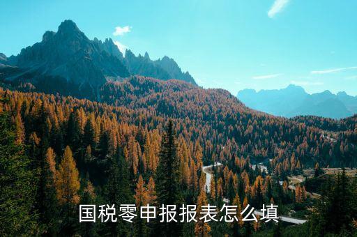 國稅地稅如何零申報表，國稅零申報報表怎么填