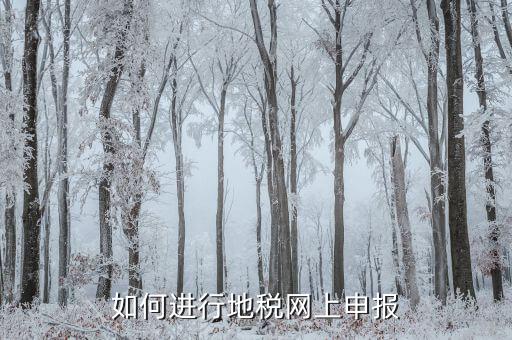 地稅如何進(jìn)行網(wǎng)上申報(bào)，如何進(jìn)行地稅網(wǎng)上申報(bào)