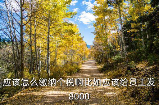 企業(yè)員工的個(gè)人所得稅如何繳納，應(yīng)該怎么繳納個(gè)稅啊比如應(yīng)該給員工發(fā)8000