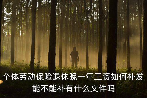 如何補(bǔ)發(fā)工資，個(gè)體勞動(dòng)保險(xiǎn)退休晚一年工資如何補(bǔ)發(fā)能不能補(bǔ)有什么文件嗎