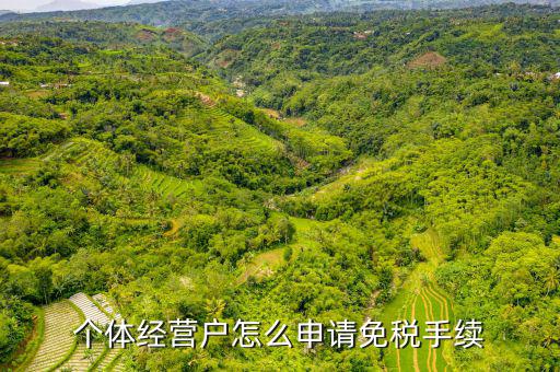 如何申請個體工商戶免稅，個體經(jīng)營戶怎么申請免稅手續(xù)