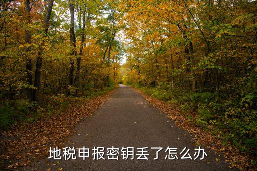 武漢地稅密鑰如何補(bǔ)辦，地稅報(bào)稅key掉了補(bǔ)辦需要什么手續(xù)要多少錢