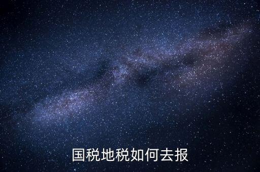 國(guó)稅地稅如何去報(bào)