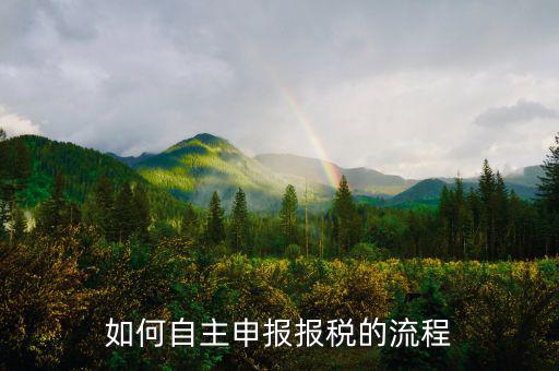 如何進(jìn)行稅務(wù)申報(bào)，個(gè)體戶如何申報(bào)稅