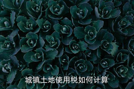 城鎮(zhèn)土地使用稅如何計(jì)算