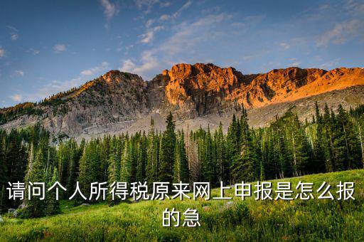 個人所得稅如何網(wǎng)上申報，個人所得稅網(wǎng)上申報流程