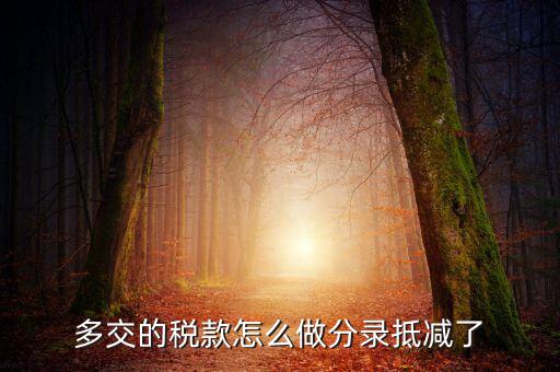 多交的稅款怎么做分錄抵減了