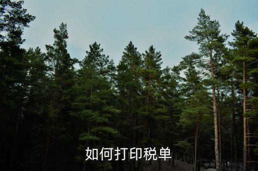 公司稅單如何查詢打印，關(guān)于公司稅單打印問題
