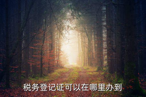 如何辦理稅種登記，辦好營(yíng)業(yè)執(zhí)照后怎么辦理稅務(wù)登記證