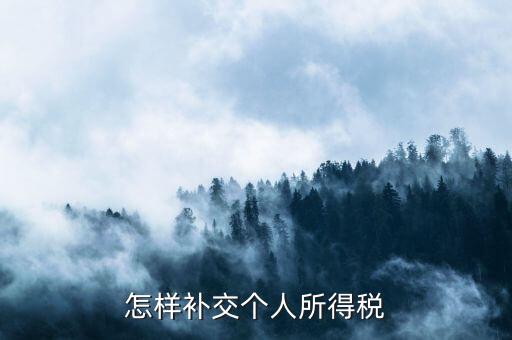 如何補交個人所得稅，如何用個人所得稅扣繳系統(tǒng)補繳稅款