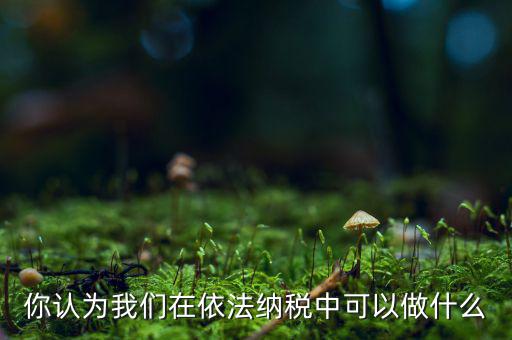 如何做到依法納稅，你認(rèn)為我們?cè)谝婪{稅中可以做什么
