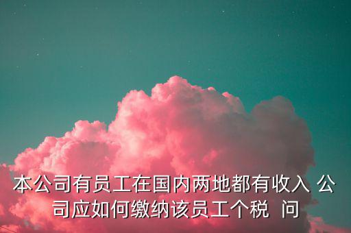 公司內(nèi)部應該如何制定個稅繳納制度，企業(yè)工資項目構(gòu)成以及交納個人所得稅的方法