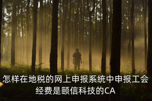 工會經(jīng)費如何網(wǎng)上申報，怎樣在地稅的網(wǎng)上申報系統(tǒng)中申報工會經(jīng)費是頤信科技的CA