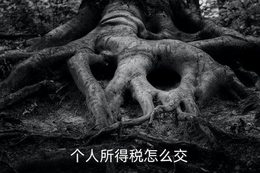 個人所得稅如何繳納，個人所得稅怎么繳納