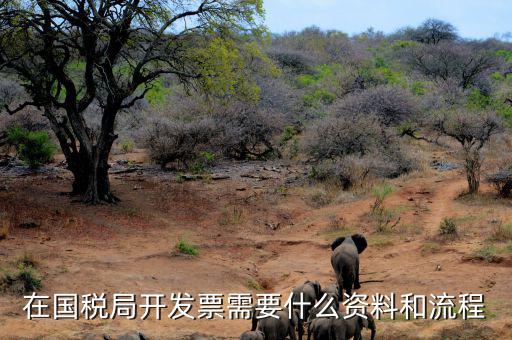 國稅局批票如何辦理，在國稅局開發(fā)票需要什么資料和流程