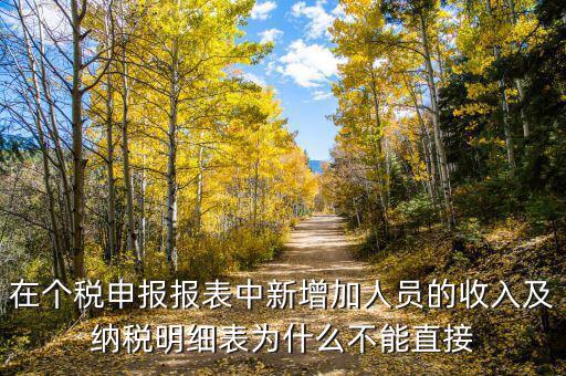 個(gè)稅申報(bào)如何增加新納稅人，在個(gè)稅申報(bào)報(bào)表中新增加人員的收入及納稅明細(xì)表為什么不能直接