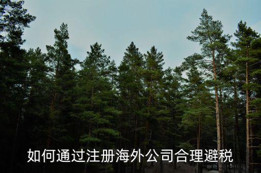 在境外注冊(cè)子公司如何避所得稅，離岸公司如何避個(gè)稅