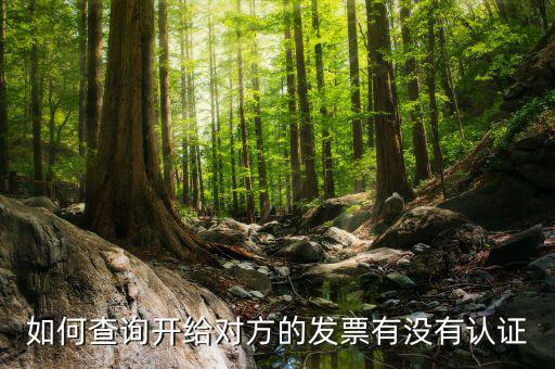 如何查詢發(fā)票認(rèn)證信息查詢，如何查詢開給對方的發(fā)票有沒有認(rèn)證