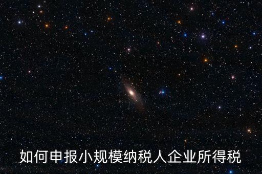 小規(guī)模納稅人如何報企業(yè)所得稅，如何申報小規(guī)模納稅人企業(yè)所得稅