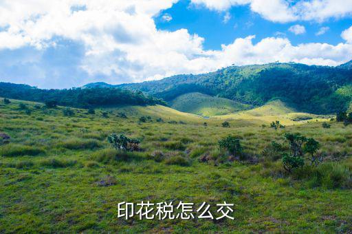 個(gè)人如何繳納印花稅，印花稅怎么交