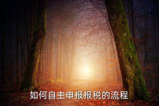 如何自主申報(bào)報(bào)稅的流程