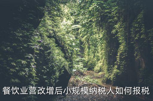 營改增后小規(guī)模納稅人如何報稅，營改增后小規(guī)模的怎么報稅