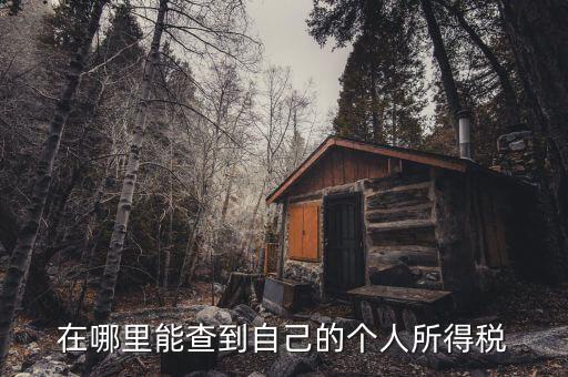 個(gè)人所得稅如何查，怎么查個(gè)人所得稅