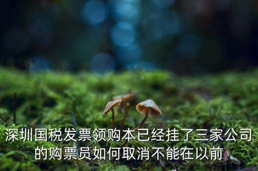 如何取消稅務(wù)局購票人，國稅如何刪除購票人