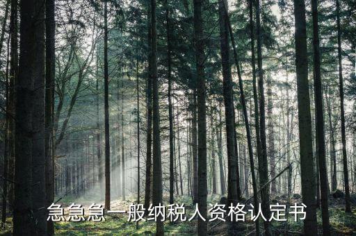 一般納稅人如何認定書，急急急一般納稅人資格認定書