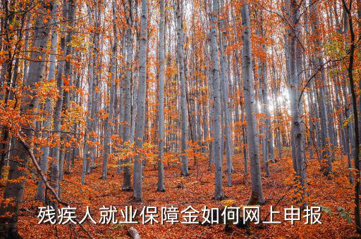 安徽殘疾人保障金如何網(wǎng)上申報，殘疾人就業(yè)保障金如何網(wǎng)上申報