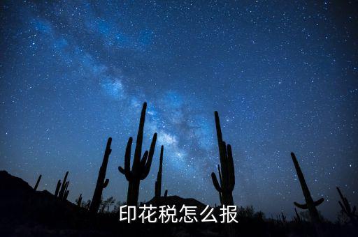 如何國稅申報印花稅，印花稅怎么報